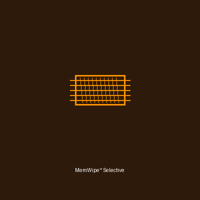 MemWipe™ Cognitive Reset